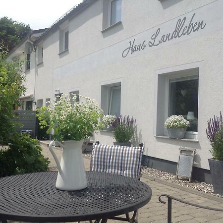 Apartament ❤️ Kleine Auszeit ❤️ Hohwacht Zewnętrze zdjęcie
